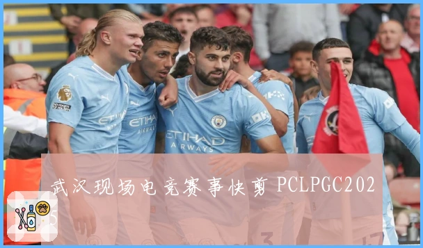 武汉现场电竞赛事快剪 PCLPGC2025