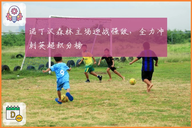 诺丁汉森林主场迎战强敌,全力冲刺英超积分榜