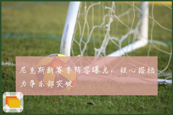 尼克斯新赛季阵容曝光，核心搭档力争东部突破