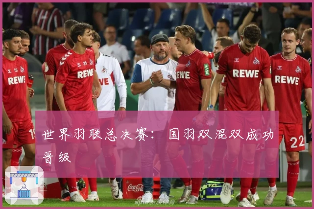 世界羽联总决赛：国羽双混双成功晋级