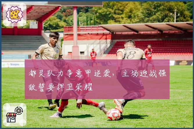 都灵队力争意甲逆袭，主场迎战强敌誓要捍卫荣耀