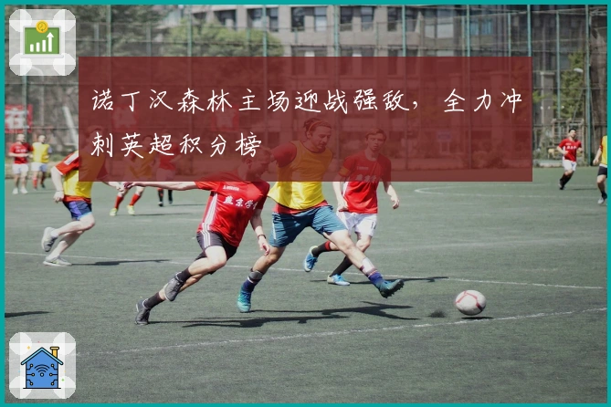 诺丁汉森林主场迎战强敌，全力冲刺英超积分榜